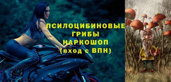 круглые Белокуриха