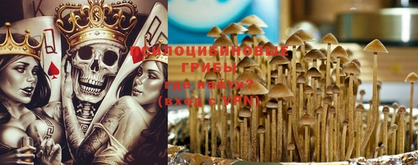 эйфоретик Баксан